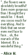 wedding flower testimonial